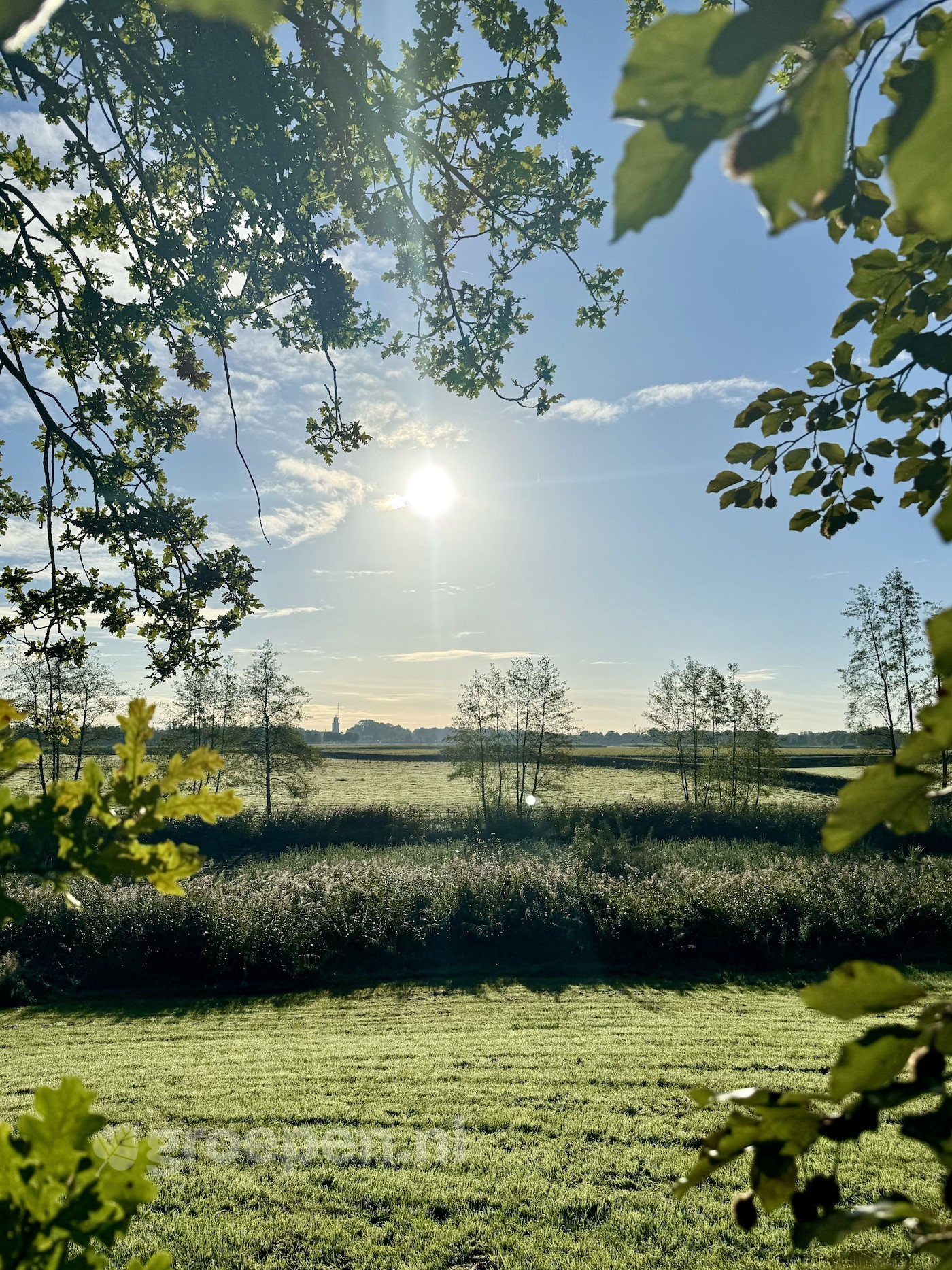 Uitzicht natuur groepsaccommodatie