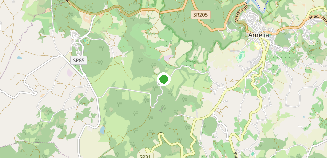 Location on the map