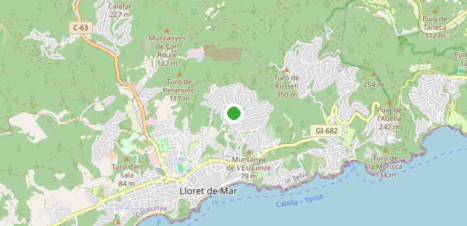 Location on the map