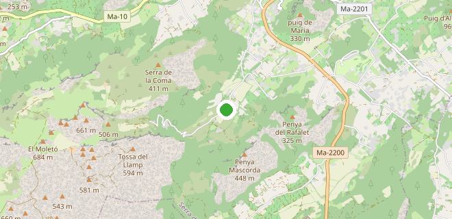 Location on the map